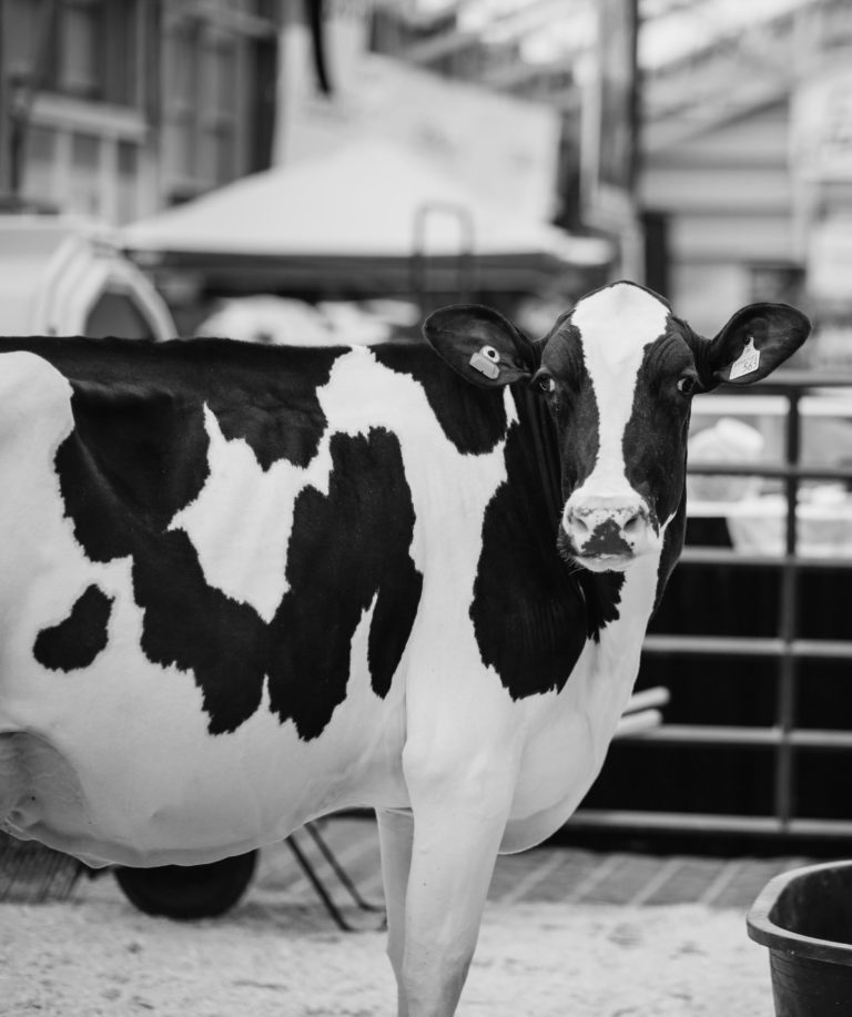 About the Canadian Dairy XPO