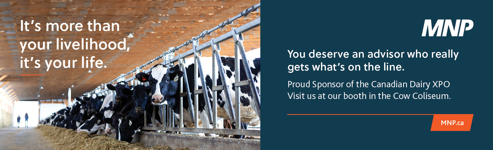 5223-24-ONSW CDX Website - Digital Banner Ad - 1640 x 500