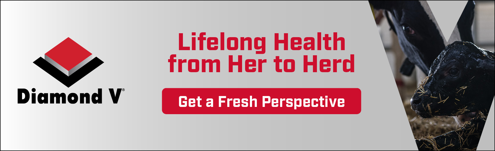 web banner
