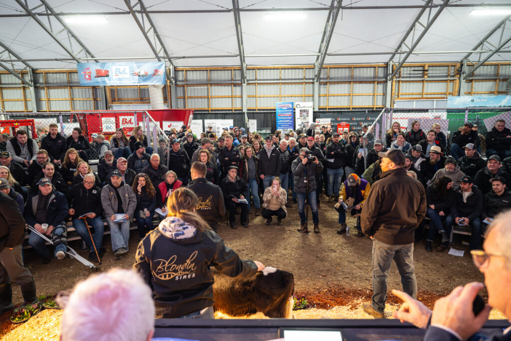 Canadian Dairy XPO - SFB 9252 Enhanced NR