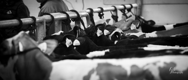 Canadian Dairy XPO - BJH 2554